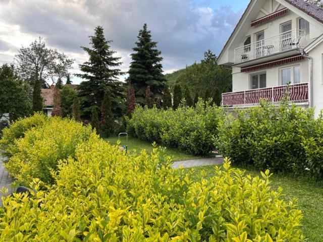 Balatongyörök Villa Astoria المظهر الخارجي الصورة